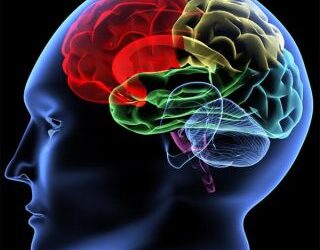 Switching Off the Mind